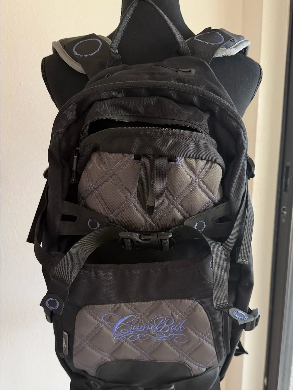 Camelbak Full-size Backpack with Insulated Tube